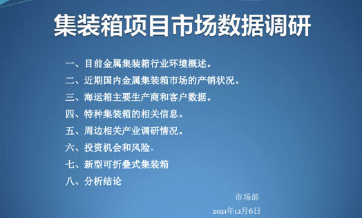 集装箱项目市场调研分析报告